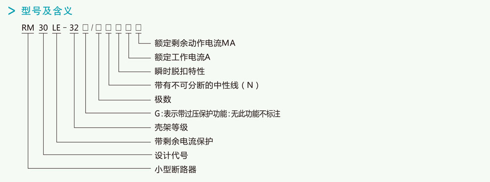 RM30LE(DPNLE)系列小型漏电断路器详情1.jpg